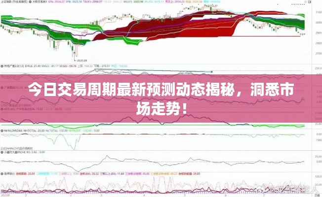 今日交易周期最新预测动态揭秘，洞悉市场走势！