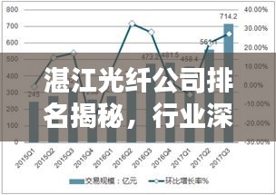 湛江光纤公司排名揭秘，行业深度分析与前景展望