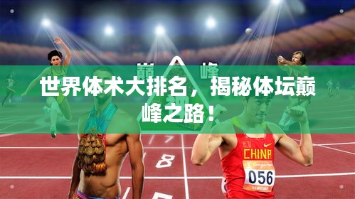 世界体术大排名，揭秘体坛巅峰之路！