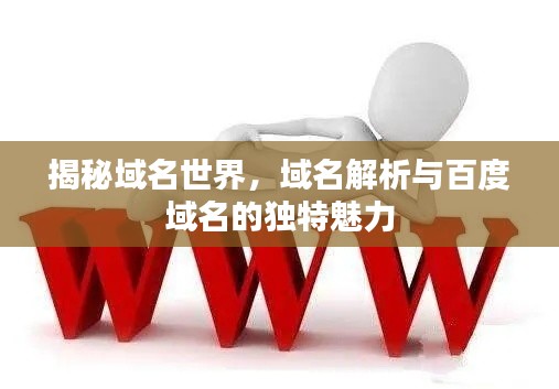 揭秘域名世界，域名解析与百度域名的独特魅力
