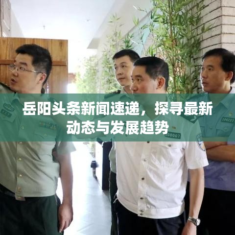岳阳头条新闻速递，探寻最新动态与发展趋势