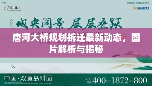 唐河大桥规划拆迁最新动态，图片解析与揭秘