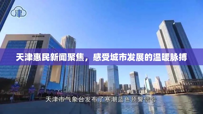 天津惠民新闻聚焦，感受城市发展的温暖脉搏