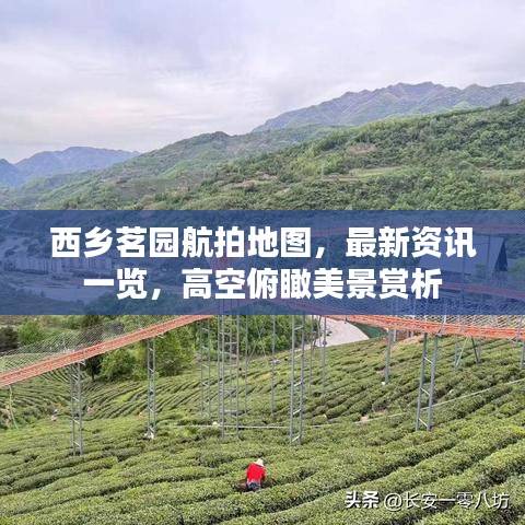 西乡茗园航拍地图，最新资讯一览，高空俯瞰美景赏析