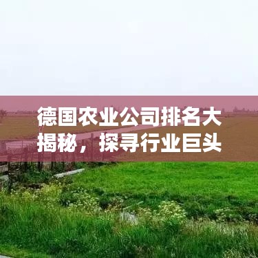 火伞高张 第2页