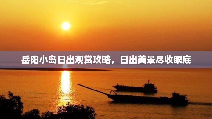 鸟吏鳖官 第2页