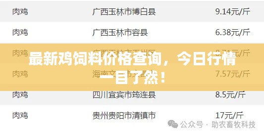 最新鸡饲料价格查询，今日行情一目了然！