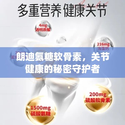 朗迪氨糖软骨素，关节健康的秘密守护者