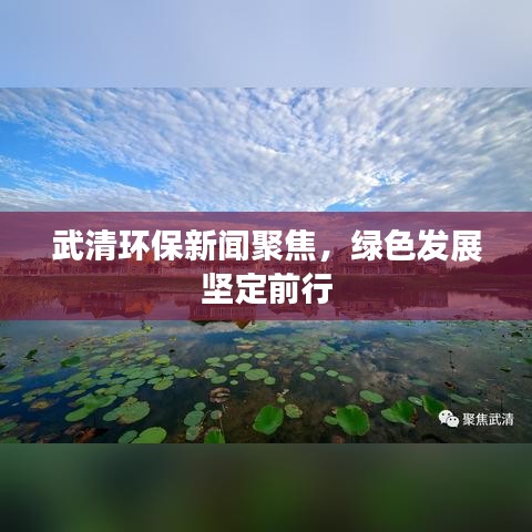武清环保新闻聚焦，绿色发展坚定前行