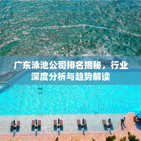 广东泳池公司排名揭秘，行业深度分析与趋势解读
