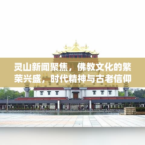 秀外慧中 第2页