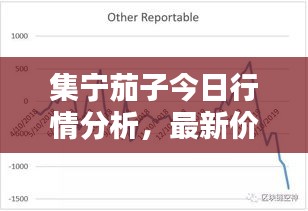 集宁茄子今日行情分析，最新价格走势一网打尽！