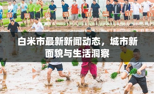 白米市最新新闻动态，城市新面貌与生活洞察