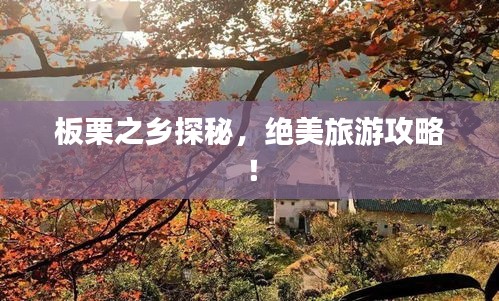 板栗之乡探秘，绝美旅游攻略！