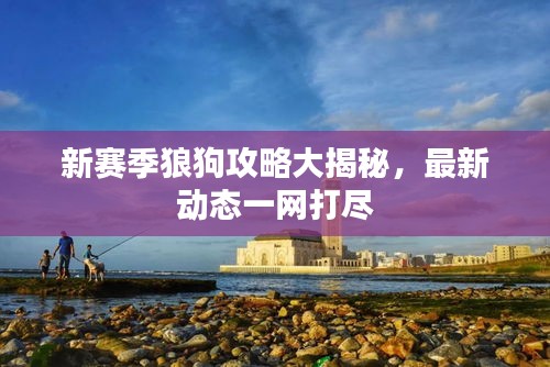 新赛季狼狗攻略大揭秘，最新动态一网打尽
