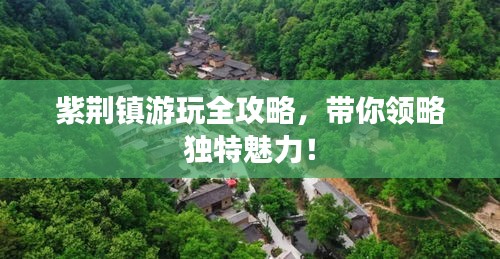 联系我们 第84页