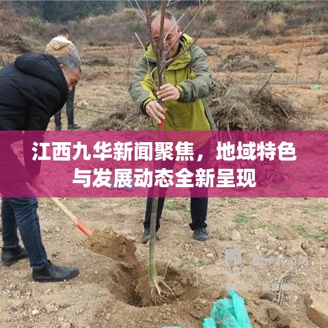 江西九华新闻聚焦，地域特色与发展动态全新呈现