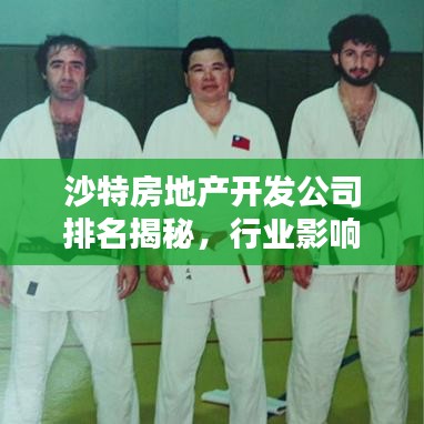 沙特房地产开发公司排名揭秘，行业影响力不容小觑