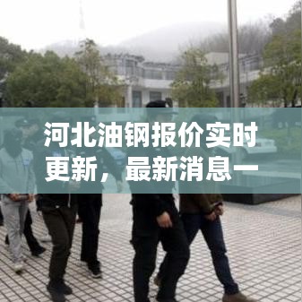河北油钢报价实时更新，最新消息一网打尽