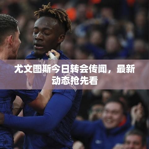 尤文图斯今日转会传闻，最新动态抢先看