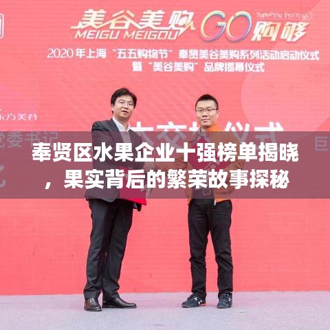 奉贤区水果企业十强榜单揭晓，果实背后的繁荣故事探秘