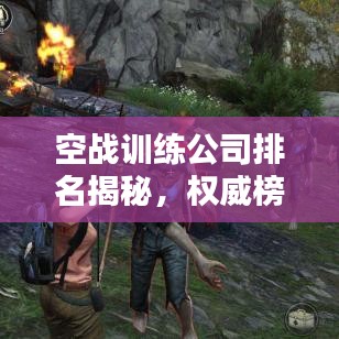 空战训练公司排名揭秘，权威榜单，专业评估！
