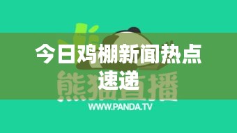 今日鸡棚新闻热点速递