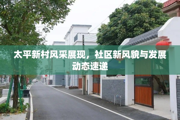 太平新村风采展现，社区新风貌与发展动态速递