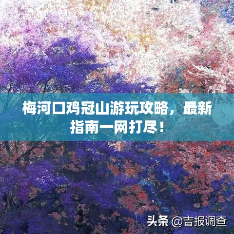 梅河口鸡冠山游玩攻略，最新指南一网打尽！