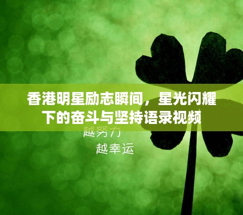 香港明星励志瞬间，星光闪耀下的奋斗与坚持语录视频