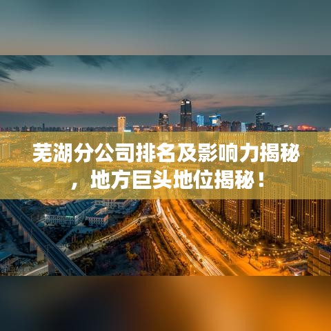 芜湖分公司排名及影响力揭秘，地方巨头地位揭秘！