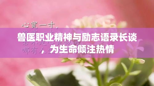 兽医职业精神与励志语录长谈，为生命倾注热情