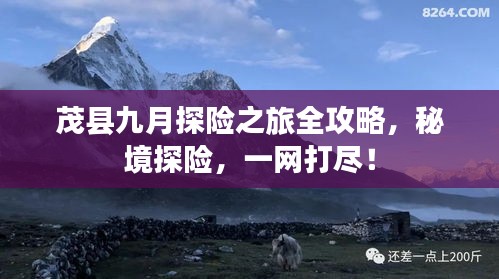 茂县九月探险之旅全攻略，秘境探险，一网打尽！
