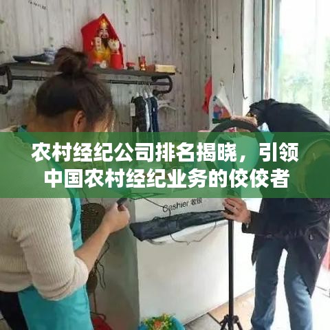 农村经纪公司排名揭晓，引领中国农村经纪业务的佼佼者
