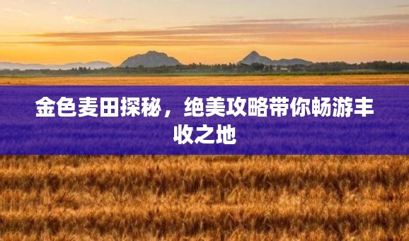 金色麦田探秘，绝美攻略带你畅游丰收之地