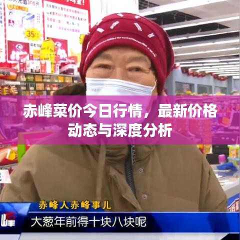 赤峰菜价今日行情，最新价格动态与深度分析