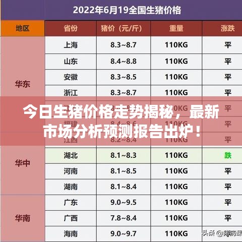 今日生猪价格走势揭秘，最新市场分析预测报告出炉！