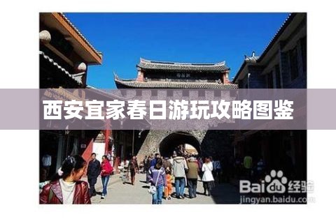 惊弦之鸟 第2页