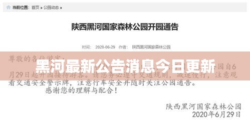 黑河最新公告消息今日更新