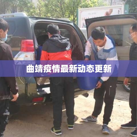 曲靖疫情最新动态更新