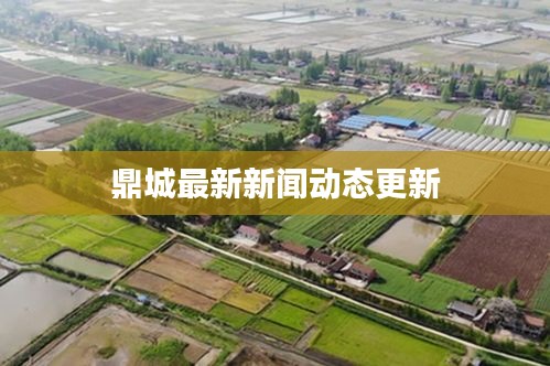鼎城最新新闻动态更新