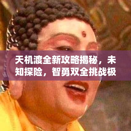 天机渡全新攻略揭秘，未知探险，智勇双全挑战极限！