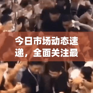 今日市场动态速递，全面关注最新消息与新闻热点