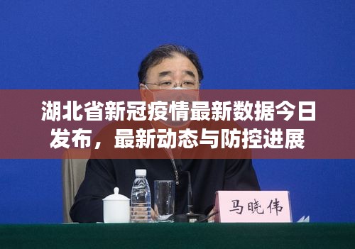 湖北省新冠疫情最新数据今日发布，最新动态与防控进展