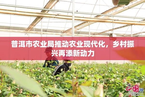 普洱市农业局推动农业现代化，乡村振兴再添新动力