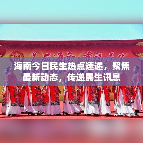 海南今日民生热点速递，聚焦最新动态，传递民生讯息