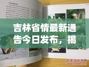 吉林省情最新通告今日发布，揭秘最新动态与变化！