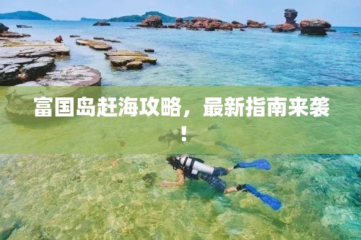 富国岛赶海攻略，最新指南来袭！