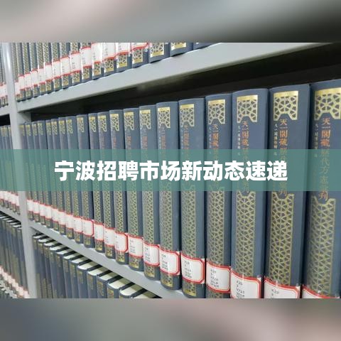 宁波招聘市场新动态速递