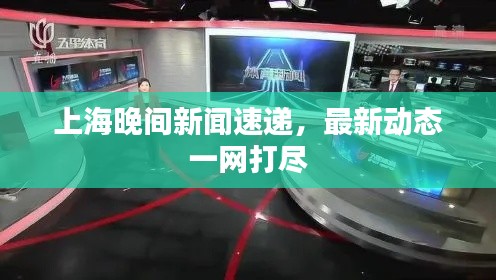 上海晚间新闻速递，最新动态一网打尽
